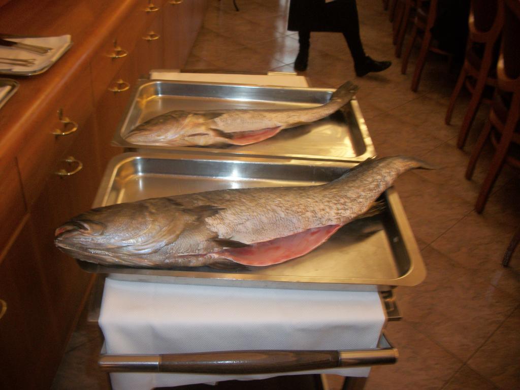 Albergo Ristorante Belvedere Codroipo Zewnętrze zdjęcie